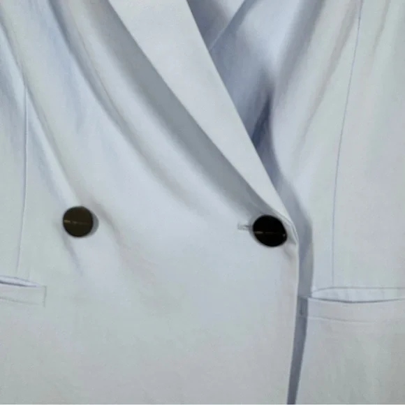 Everlane Light Blue Double Breasted Career Relaxed Fit Blazer Size 6 - Picture 6 of 16